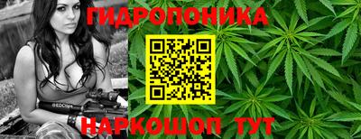 гашик Туймазы