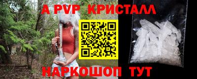 гашик Туймазы