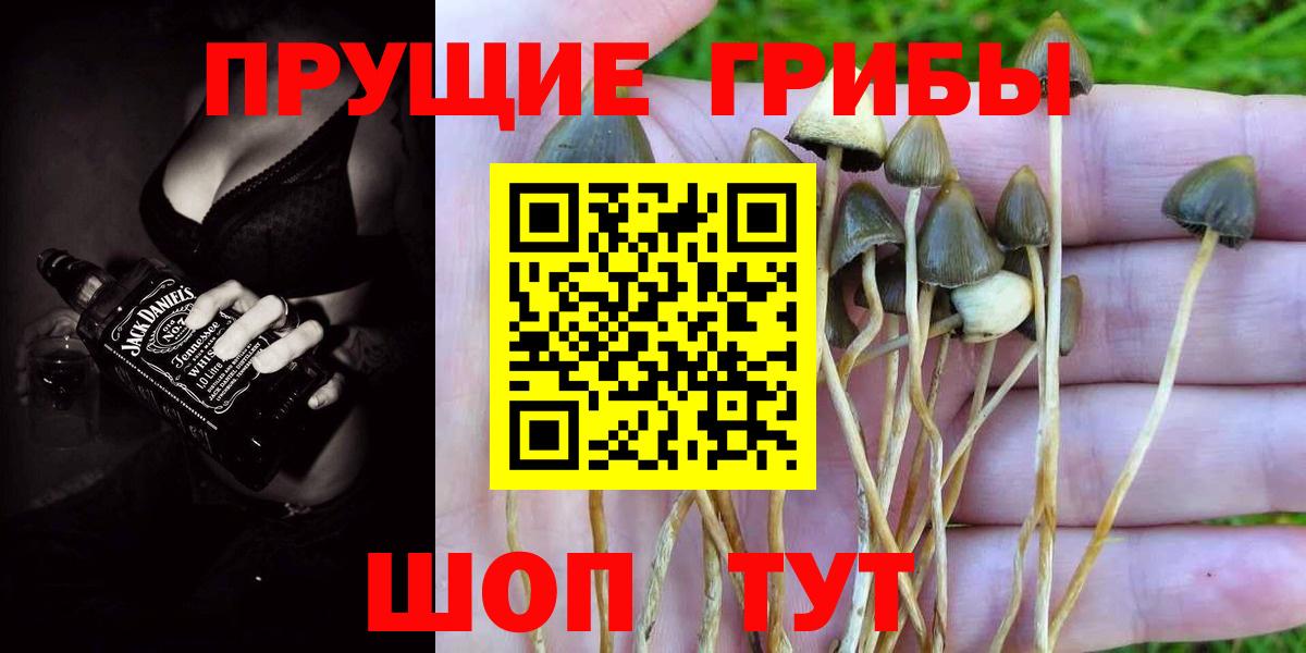 Назарово  Псилоцибиновые грибы Magic Shrooms  Вход с VPN  Псилоцибиновые грибы ЛСД 